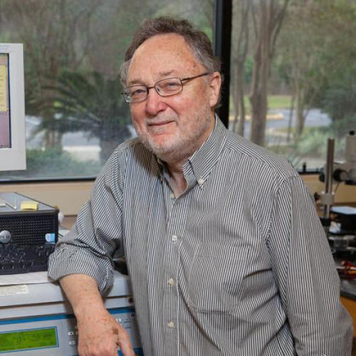 David Larbalestier