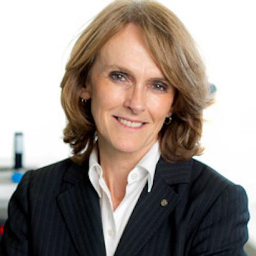 Catherine P. Foley headshot