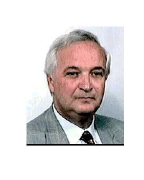 Francesco Negrini headshot